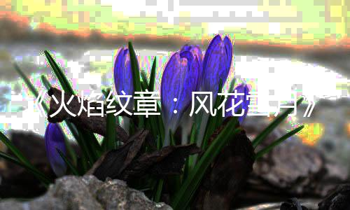 登录章凯瑟角色绍焰纹月底雪月 新琳介风花火