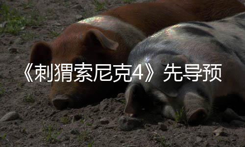 磅新尼克猬索强势刺重空降角色预告先导袭来