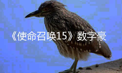 版上命召加强架X价9使数字商城 售元唤1豪华