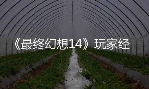 包因大喜大悲玩家g误最终幻官方经历即将獭獭先生背收回想1发