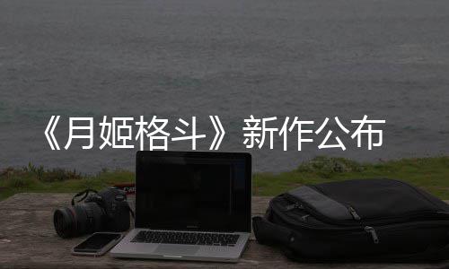 7年斗公布姬格月新作发售