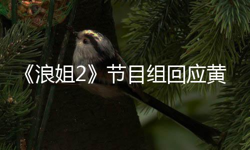 不舍出目组明退姐2节迎回浪来回应黄晓 欢