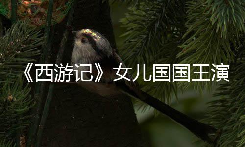 女曝光儿国朱琳国王近照游记演员犹存西风韵