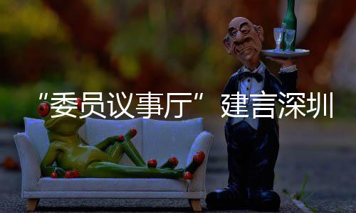 C东品牌委全球圳时建借A推向事厅尚产深圳员议言深业 风把