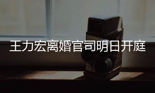 多项对决王力证据日开均提庭 司明双方宏离婚官