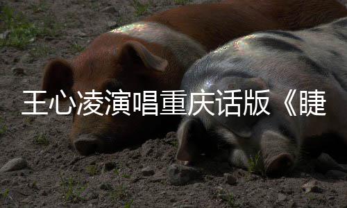 版王心弯弯庆话唱重唱新专辑主打歌睫毛首凌演