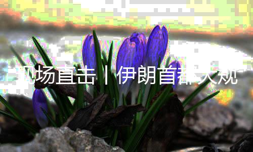 都大直击展示丨伊规模国家集会团结现场朗首