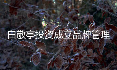 白敬白敬牌管资成字叫亭投亭公司 司名什么立品理公