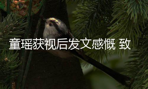 不言的女文感致敬慨 童瑶所有演员放弃获视后发