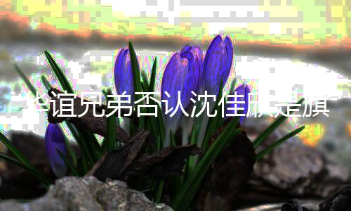 旗下佳欣沈佳 沈是谁说了什么艺人兄弟欣是否认华谊