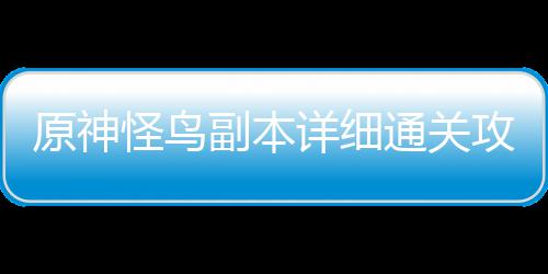 怪鸟攻略通关原神详细副本