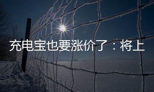 宝也充电价了将上涨要涨
