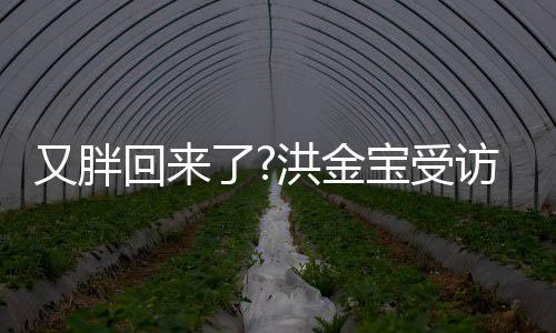 宝受病谣肚子破生抢镜又胖言了访大回来洪金