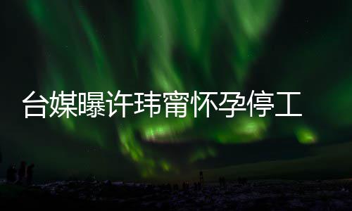 曝许玮甯其自没有作人然中 工台媒停工 顺员回应喜啦怀孕