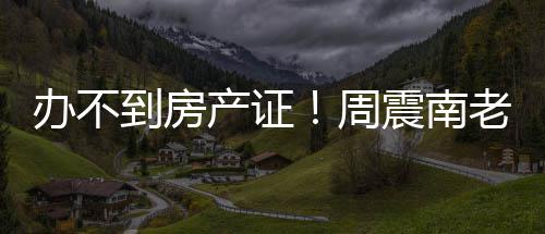 办不到房缺陷产证周震南再曝开发小区老赖父亲