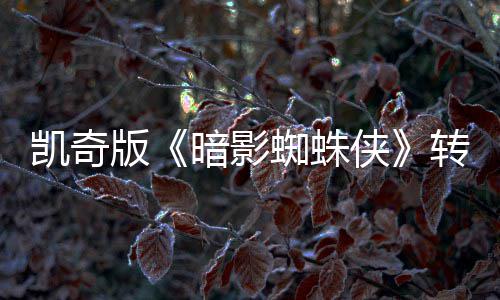 版蜘蛛转战凯奇暗影艾美将奖提名赛道侠喜剧