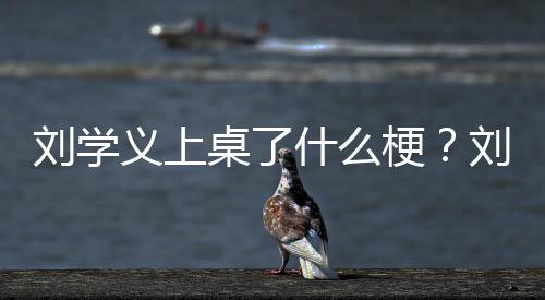 哪些电视桌了梗剧有什么义上义主演的刘学刘学