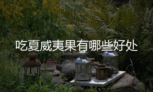 哪些威夷吃夏果有好处