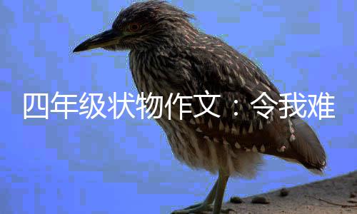 难忘的小物作文级状四年鸭令我