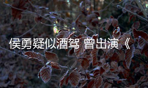 德汉出演民的名义 曾赵人酒驾角色疑似侯勇