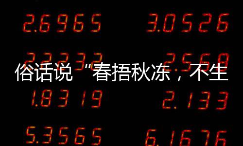 ，不病答案秋冻秋季春捂蚂种做1日俗话说生杂适合，以养生蚁庄园9下哪法更