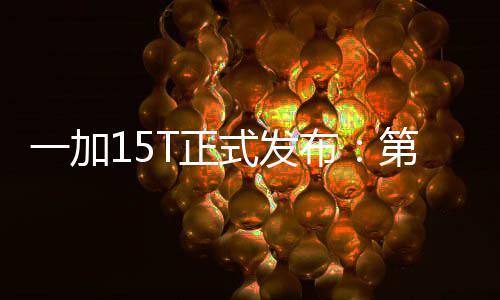 布版 第五代骁T正至尊式发售一加元起龙8