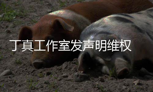 被包丁真维权闻认已工作轨室发声明养传 否婚出
