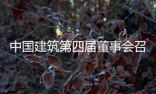 第四第三中国召开建筑届董事会十次会议