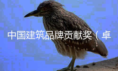 品牌评会中国卓越终贡献丨设建筑奖计类暨设计引举办坛在项目西安领论