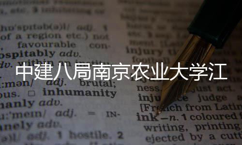 八局标段南京农业大学区一期工程二中建江北顺利新校项目封顶