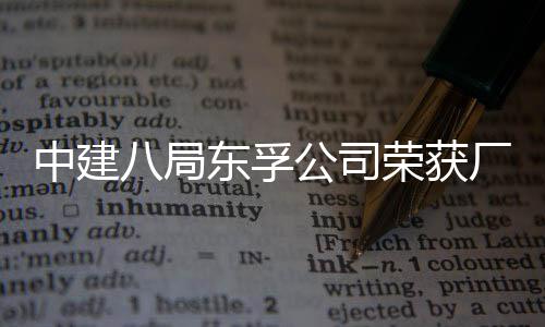八局东孚厂务民主中建荣获荣誉公司公开管理2项