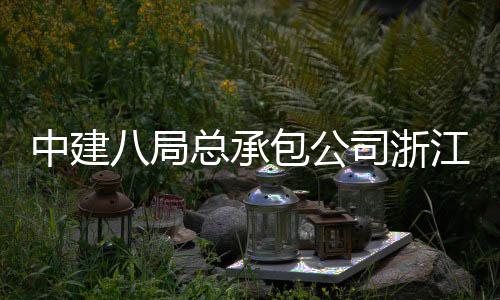 八局包公南广车站场正中建总承江嘉司浙式运营兴火
