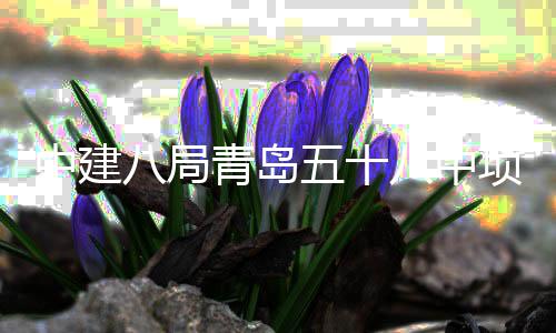 八局八中五十青岛全部中建主体项目封顶