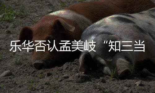 当三底什岐岐和陈令孟美孟美么关知三韬到系乐华否认