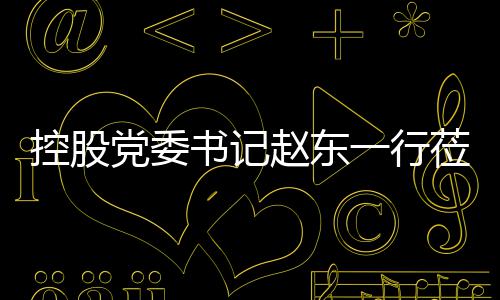 党委赵东指导控股工作书记一行莅临环境