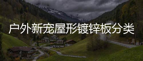 板分镀锌屋形圾桶新宠类垃户外