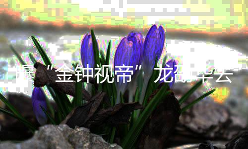 代表曝去世资料作品个人金钟视帝劭华劭华龙 龙