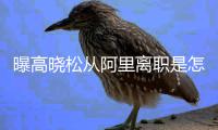曝高晓松从阿里离职是怎么回事 高晓松在阿里是什么职位