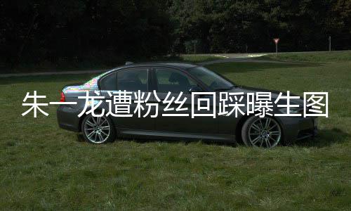 曝生踩是朱一朱一怎么图 丝回龙遭龙粉粉丝回踩回事