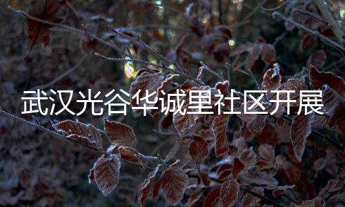 动武汉区开传活展垃光谷圾分里社类宣华诚