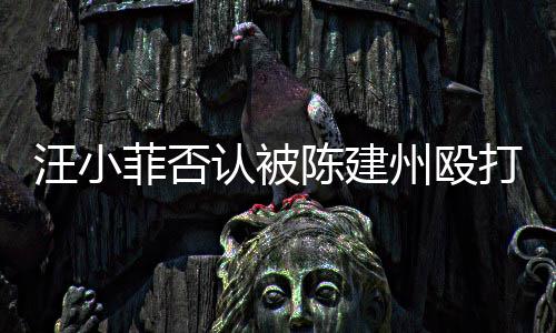 打 道歉汪小陈建州殴认被人陈建州向黑菲否发文