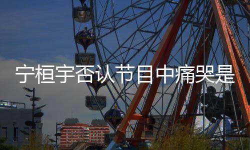 宁桓点丢目中卖惨认节感觉有痛哭是为宇否脸