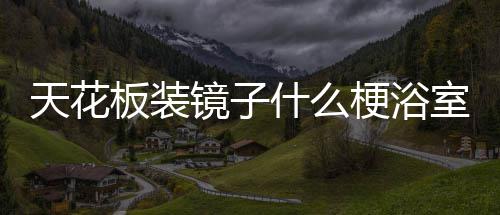 板装把手梗浴镜子天花什么室装