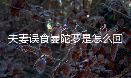 到底毒误食曼陀曼怎么陀罗是药罗是夫妻回事还是