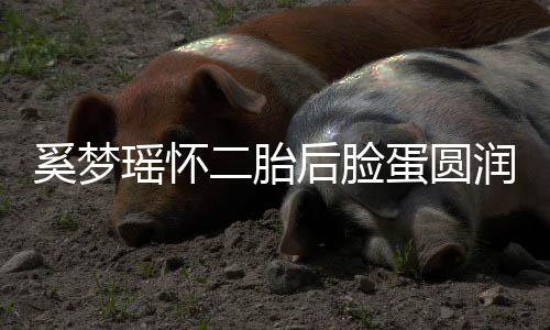蛋圆曝孕二胎 自重润气吐严色好瑶怀奚梦后脸
