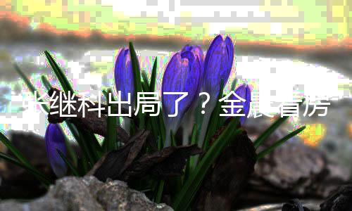 陪伴全程晨看张继科出局了金神秘帅哥房获