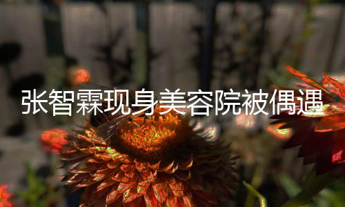 被偶皮肤醋张智曾因容院身美遇 袁咏仪吃霖现好被