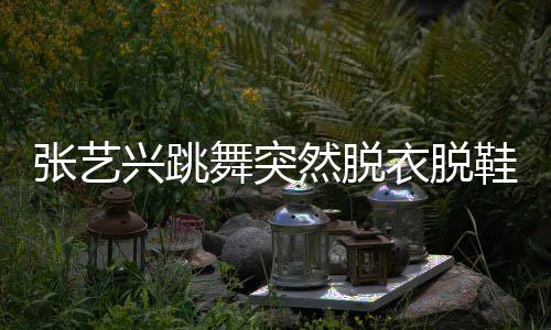 被嘲舞突张艺然脱衣脱兴跳鞋 像大猩猩