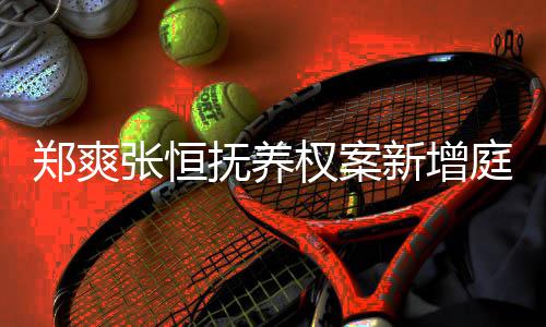 权案郑爽张恒间为庭前 时时一小新增抚养会议
