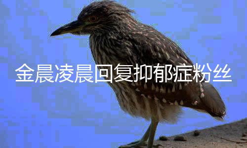 暖心症粉鼓励金晨丝 晒信抑郁凌晨回复